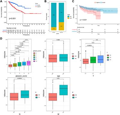 Identification of a Gene Signature to Aid Treatment Decisions by Integrated Analysis of Mutated Genes Between Primary and Metastatic Prostate Cancer